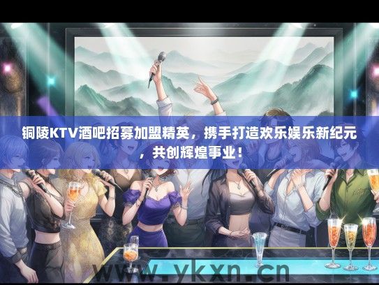 铜陵KTV酒吧招募加盟精英，携手打造欢乐娱乐新纪元，共创辉煌事业！